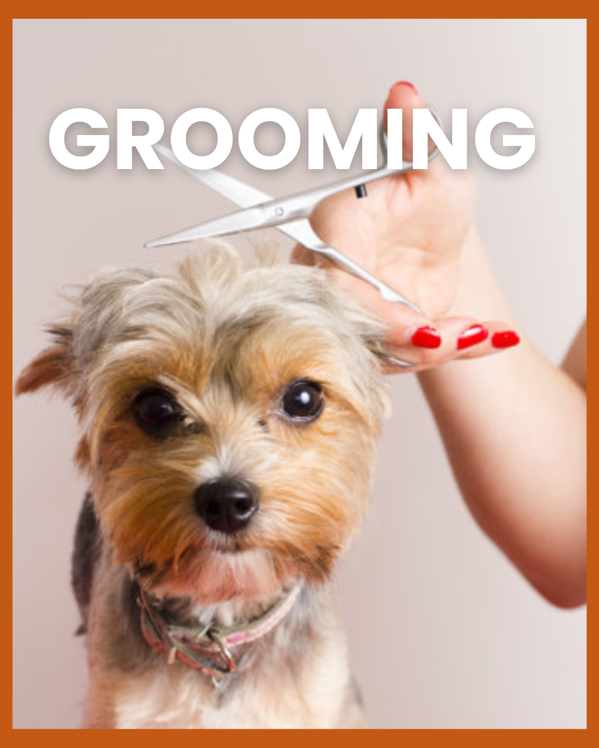 Grooming Tools